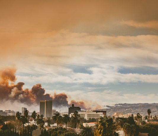 Incendi di Los Angeles, si contano i danni. E i musei istituiscono un fondo per gli artisti colpiti