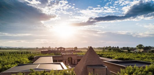Il Labirinto della Masone compie dieci anni e festeggia con un programma di arte, natura e innovazione digitale Il Labirinto della Masone al tramonto