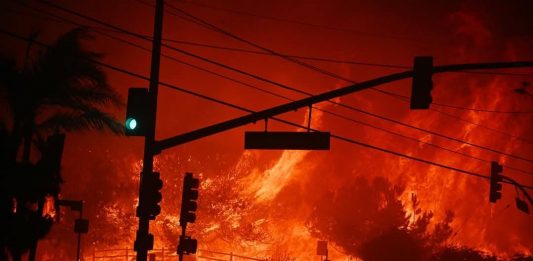 Incendi a Los Angeles: parte la raccolta fondi per gli artisti rimasti senza casa