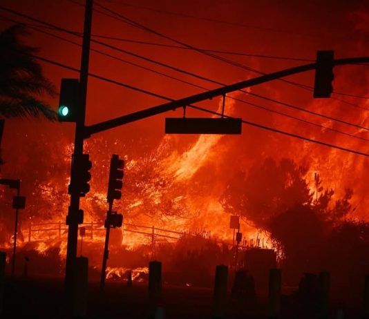Incendi a Los Angeles: parte la raccolta fondi per gli artisti rimasti senza casa