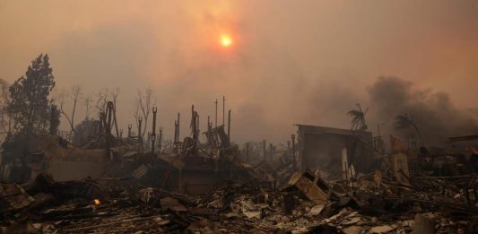 Los Angeles, la comunità artistica si rialza dopo gli incendi: il racconto di una fotografa italiana