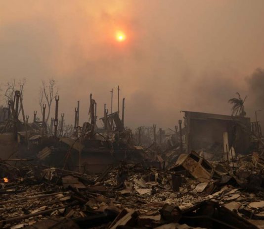 Los Angeles, la comunità artistica si rialza dopo gli incendi: il racconto di una fotografa italiana