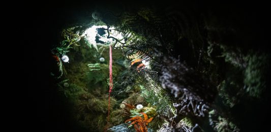 Bologna Art Week 2025: dal cuore della città ai suoi dintorni Immagine della esposizione-installazione Bar Luna, ideata da Alice Rohrwacher e Muta Imago con la partecipazione di Thierry Boutemy, Galleria Modernissimo, Bologna, 2024. Courtesy Fondazione Cineteca di Bologna