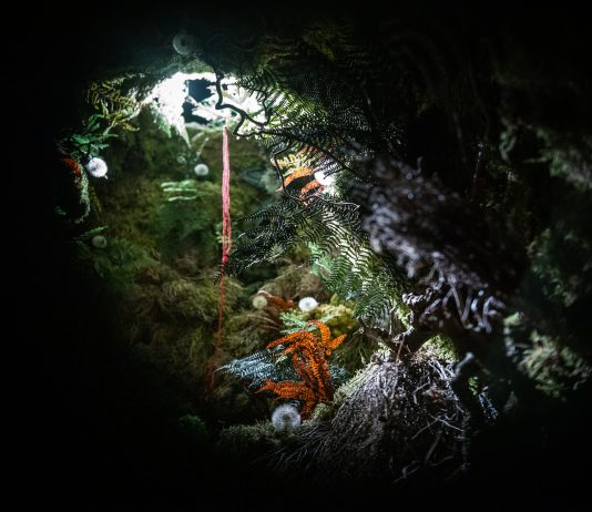 Bologna Art Week 2025: dal cuore della città ai suoi dintorni Immagine della esposizione-installazione Bar Luna, ideata da Alice Rohrwacher e Muta Imago con la partecipazione di Thierry Boutemy, Galleria Modernissimo, Bologna, 2024. Courtesy Fondazione Cineteca di Bologna