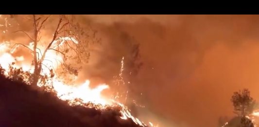 Lo spazio liminale delle nostre vite: Jason Hendrik Hansma a Bologna