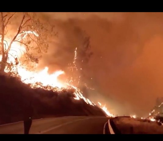 Lo spazio liminale delle nostre vite: Jason Hendrik Hansma a Bologna