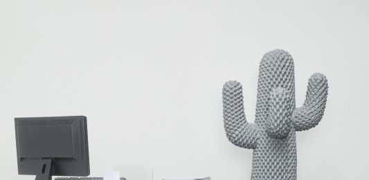 Boring Cactus di Gufram e Poltrona Dezza: icone del design si rinnovano Gufram, Drocco, Mello, Boring Cactus, Courtesy of Gufram