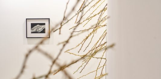 MIA Photo Fair 2025: a Milano, la fotografia in dialogo con il mondo