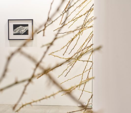 MIA Photo Fair 2025: a Milano, la fotografia in dialogo con il mondo