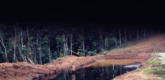 Estrattivismo e paesaggi feriti: l’arte di denuncia di Adrián Balseca al PAV di Torino