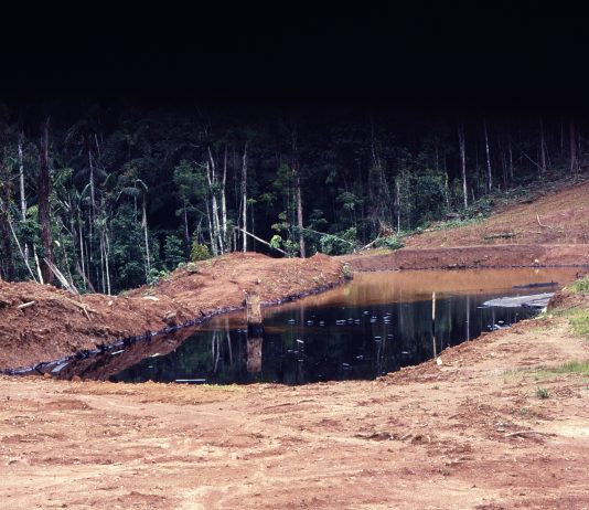 Estrattivismo e paesaggi feriti: l’arte di denuncia di Adrián Balseca al PAV di Torino