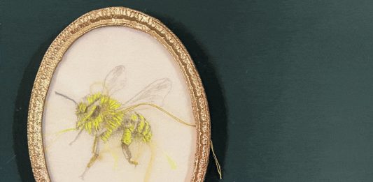 Alice Schivardi, Luciana Pretta, Luisa Lanarca: tre artiste a confronto a Roma