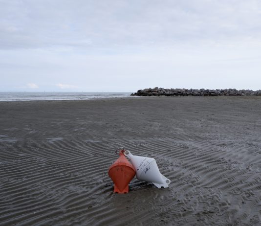 Viaggio sentimentale tra esperienze quotidiane: intervista a Chiara Ventura Chiara Ventura intervista