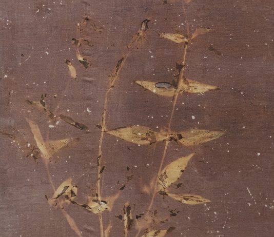 Anaïs Tondeur, un’energia che cerca la luce: la mostra alla Spot Home Gallery di Napoli