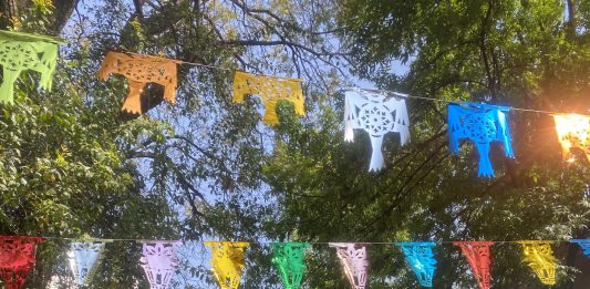 Che cosa resta di Zona Maco 2025? Il report da Città del Messico zona maco 2025