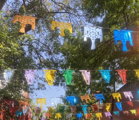 Che cosa resta di Zona Maco 2025? Il report da Città del Messico zona maco 2025