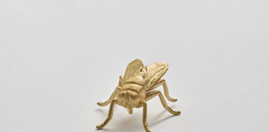 A Milano Filippo Mazza trasforma la Galleria ArtNoble in un gioco collettivo artnoble