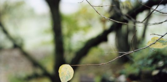 La poetica del marginale è al centro dell’ultima mostra fotografica di Viasaterna a Milano