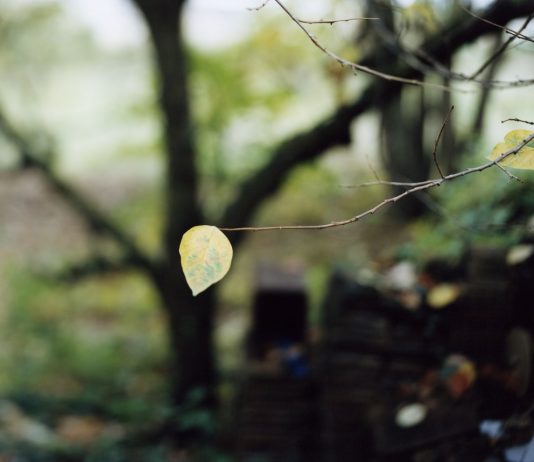 La poetica del marginale è al centro dell’ultima mostra fotografica di Viasaterna a Milano
