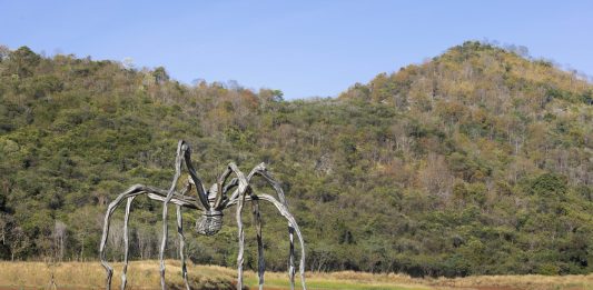 Khao Yai Art Forest, arte contemporanea in una foresta: succede in Tailandia