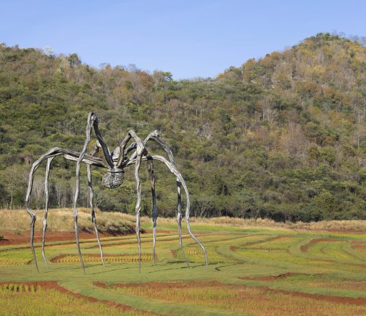 Khao Yai Art Forest, arte contemporanea in una foresta: succede in Tailandia