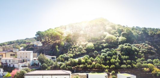 Il Museo Nivola porta in Sardegna la scultura contemporanea: le mostre del 2025