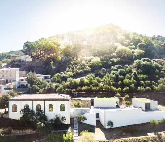 Il Museo Nivola porta in Sardegna la scultura contemporanea: le mostre del 2025