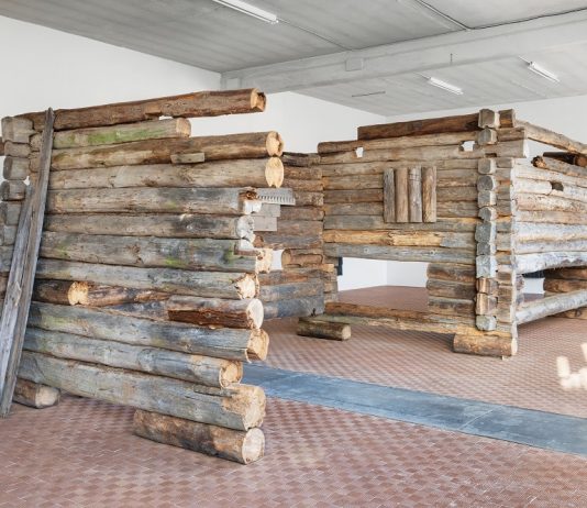 Augustas Serapinas, una consacrazione della memoria rurale