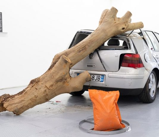 Fine di Arte Fiera 2025. E i galleristi fischiano il mancato sostegno del Governo arte fiera 2025