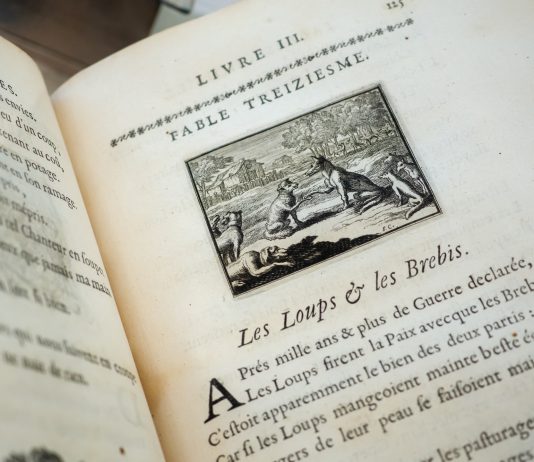 All’asta i libri antichi de Il Ponte, con una preview speciale a Parigi libri ponte aste