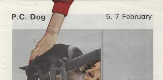 Other Identity #150, altre forme di identità culturali e pubbliche: Marta Parszeniew