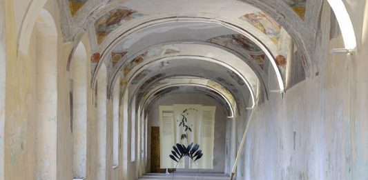 Luca Petti e la Collezione Frasca, un dialogo sull’ibridazione all’Ex Ospedale Militare di Napoli luca petti mostra napoli