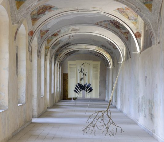 Luca Petti e la Collezione Frasca, un dialogo sull’ibridazione all’Ex Ospedale Militare di Napoli luca petti mostra napoli