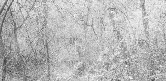 Exposed Foto Festival 2025, oltre la superficie dell’immagine: le mostre a Torino