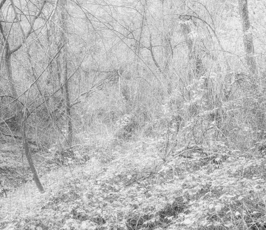 Exposed Foto Festival 2025, oltre la superficie dell’immagine: le mostre a Torino