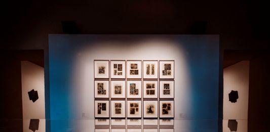 Di erbe e di fiori. Erbari d’autore Da Besler a Penone, da De Pisis a Cage fino al 22 giugno 2025 al Castello di Miradolo di San Secondo di Pinerolo (Torino)