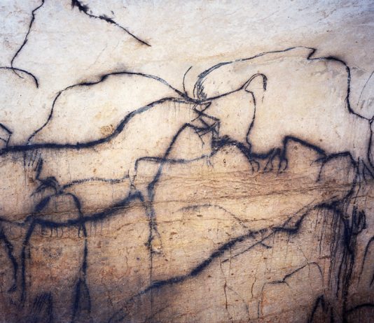 Alla Fondazione Biscozzi Rimbaud, un ciclo di conferenze che intreccia le storie dell’arte Domingo Milella, Grotta del Pech-Merle, Cappella dei Mammut, Francia, 2018