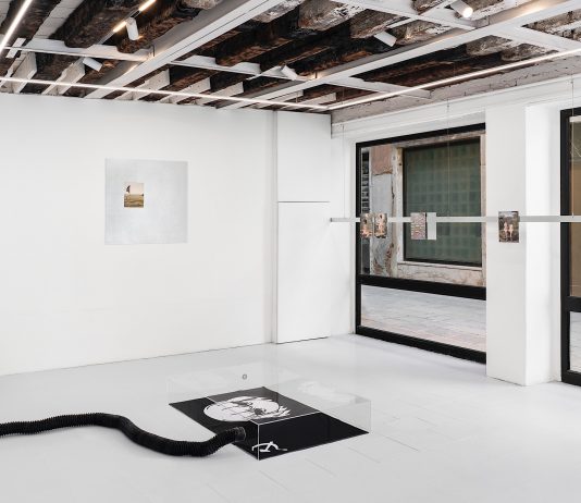 Estetiche della stasi nell’era digitale: la nuova mostra di Mare Karina a Venezia