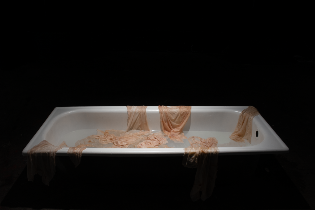 Osservatorio Cieco, Spazio X, Silvia De Vicari