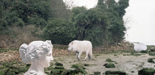 A Modena una mostra fa il punto sulle diverse anime della fotografia in Italia