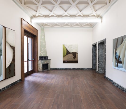 Non c’è spazio per il vuoto nella mostra di Diane Dal-Pra massimodecarlo Diane Dal-Pra