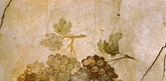 Nel Parco Archeologico di Pompei si inizierà a produrre vino con tecniche antiche