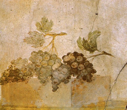 Nel Parco Archeologico di Pompei si inizierà a produrre vino con tecniche antiche