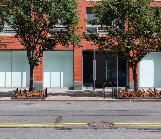 Tommaso Calabro apre il suo pop-up a New York, nei giorni di TEFAF e Frieze Tommaso calabro New York