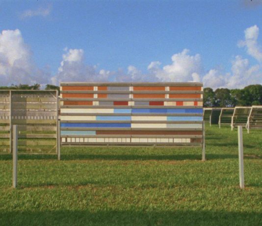 Orizzonti lontani e densità poetica: il viaggio di Yto Barrada alla Fondazione Merz di Torino yto barrada