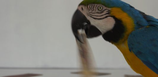 Milano Art To Date: gli appuntamenti della penultima giornata di Design Week