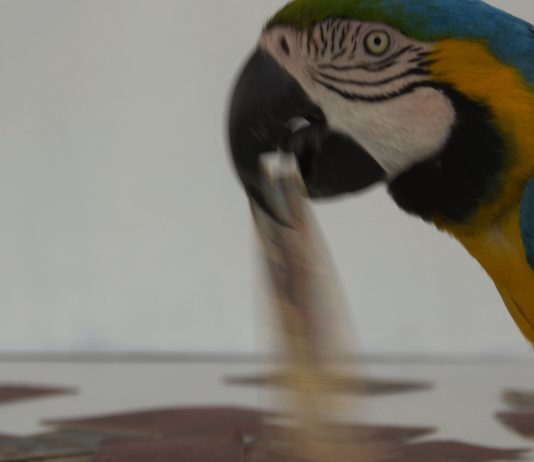 Milano Art To Date: gli appuntamenti della penultima giornata di Design Week