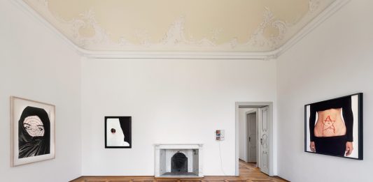 Dialogo tra collezionisti: la Collezione Gemma De Angelis Testa entra a Villa Panza