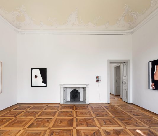 Dialogo tra collezionisti: la Collezione Gemma De Angelis Testa entra a Villa Panza