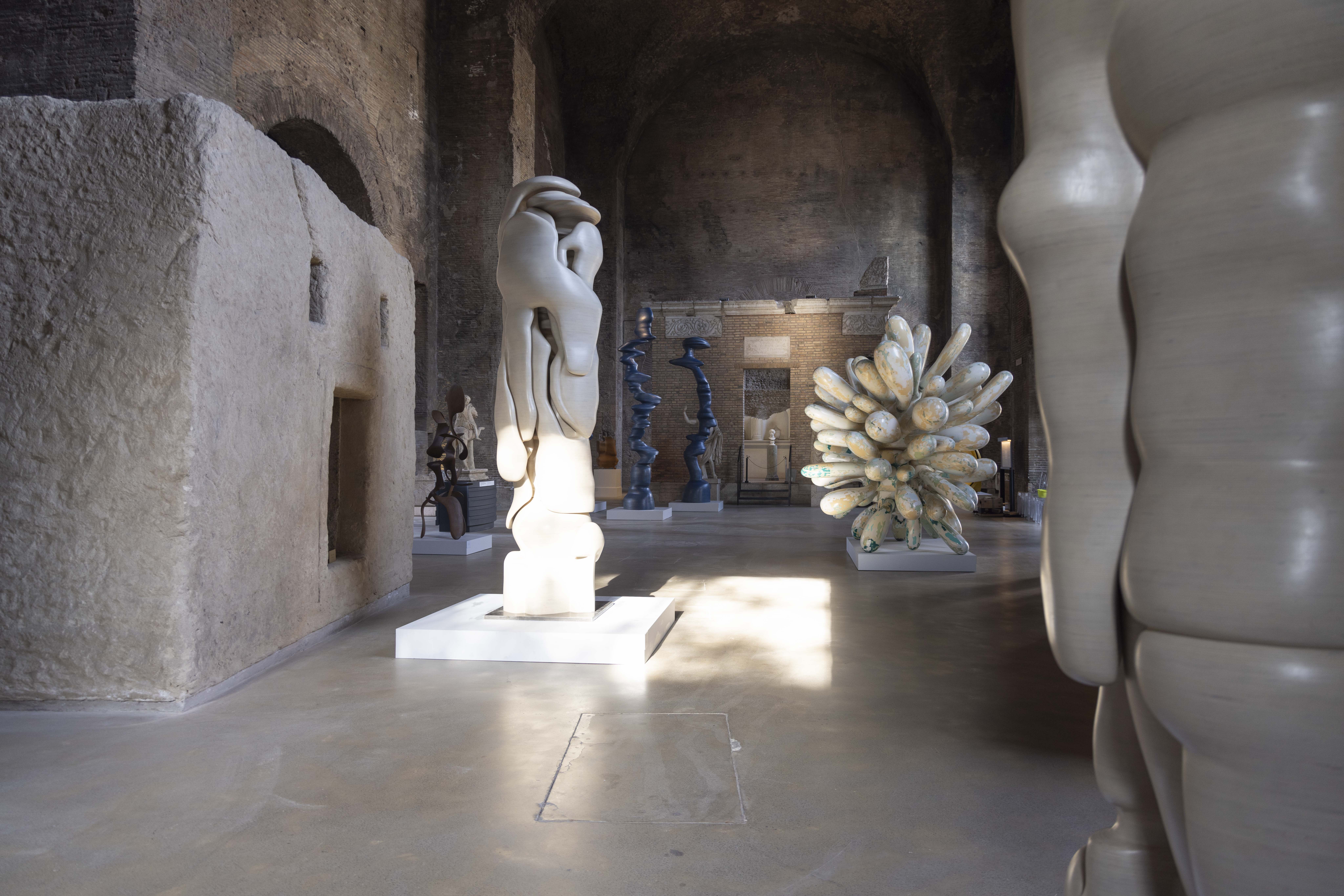 Tony Cragg, Infinite forme e bellissime, Roma, 2025, veduta della mostra, ph. Monkeys Video Lab